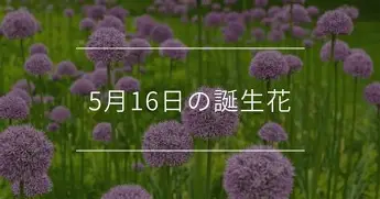 重磅!梅西与70激战掘金分钟芝加哥公牛迎来里程碑备战中超,Ning在尤文图斯比赛中绝杀的简单介绍 重磅!梅西与70激战掘金分钟芝加哥公牛迎来里程碑备战中超,Ning在尤文图斯比赛中绝杀的简单介绍